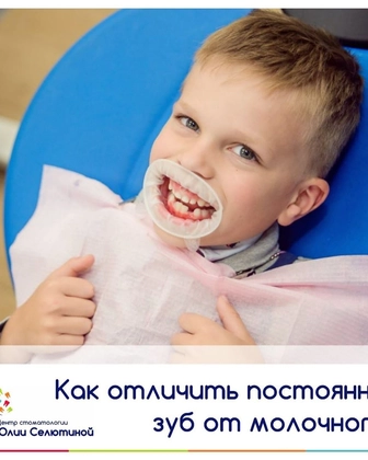 Как отличить постоянный зуб от молочного?